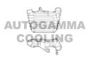 AUTOGAMMA 103366 Intercooler, charger